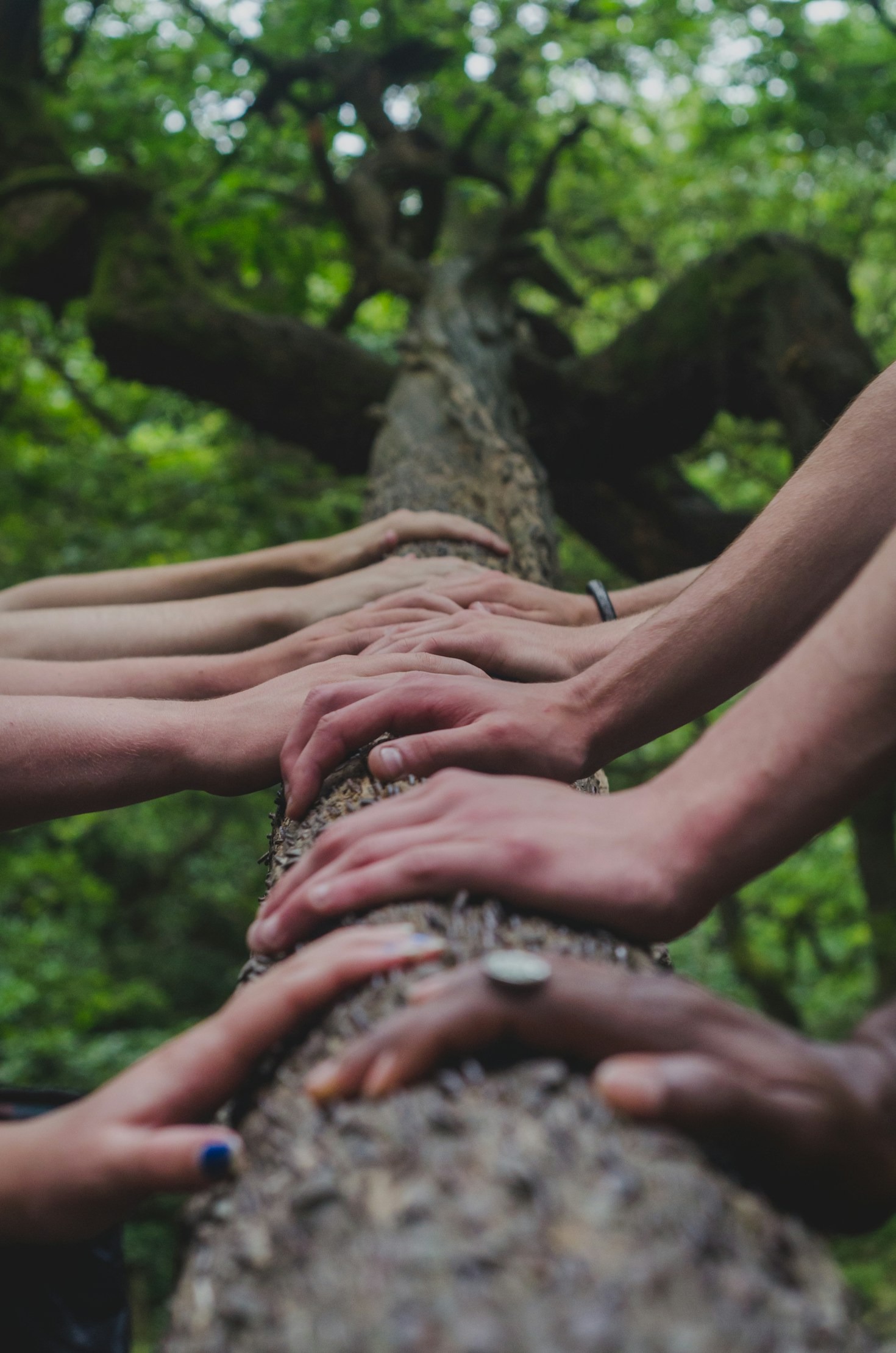How Donations Directly Help People in Need